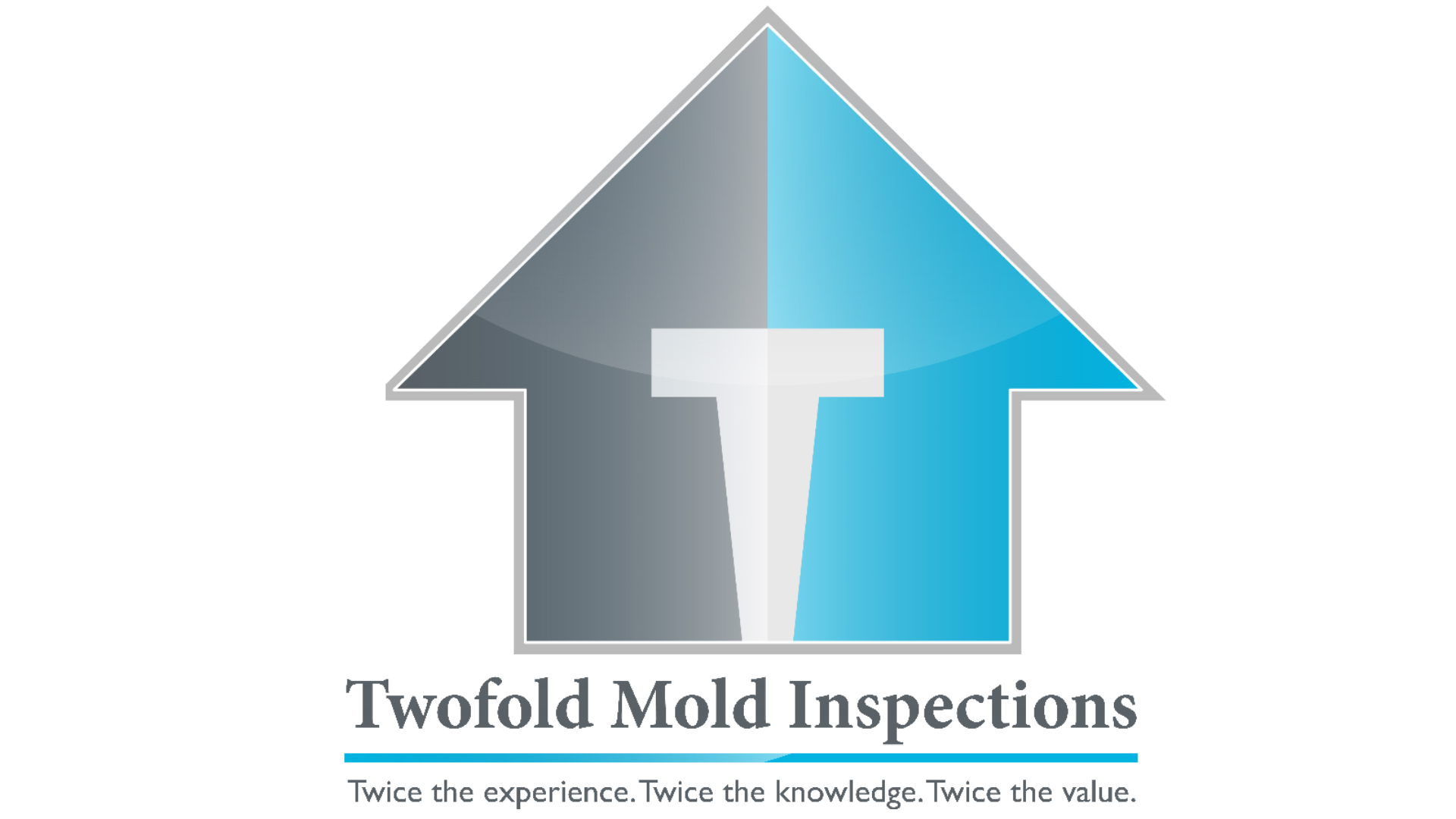 Twofold Mold Inspections